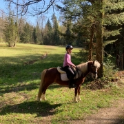 Reiten in Gattikon: Der Weg ist das Ziel