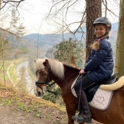 Reiten im traumhaften Reitgebiet in Thalwil | Pferdestall Weiherschüür